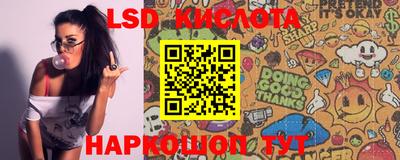 стафф Новодвинск
