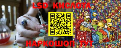 спиды Новозыбков