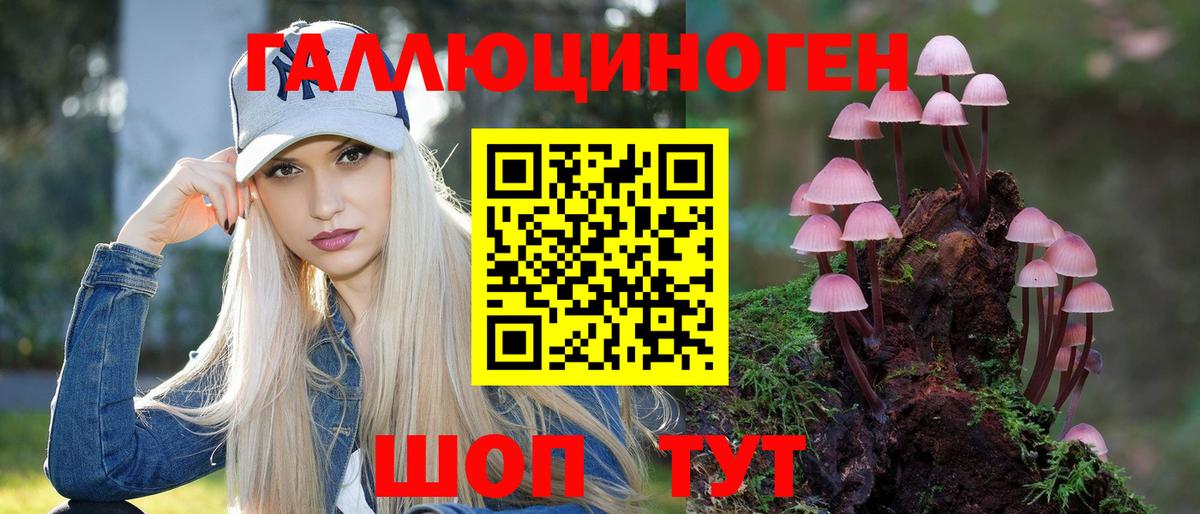 APVP Советский